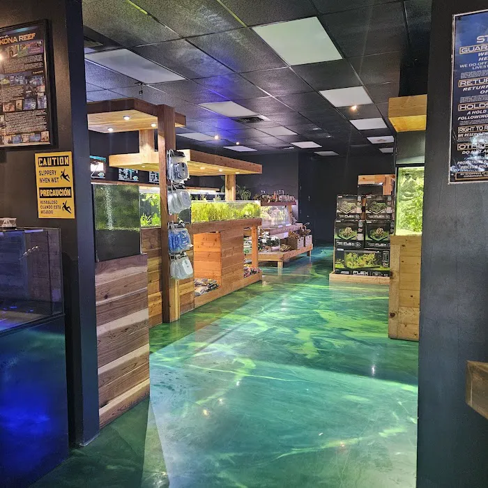 Kona Reef Az - Surprise Picture 9