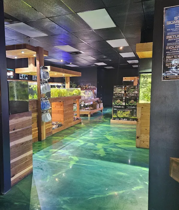 Kona Reef Az - Surprise Picture 10