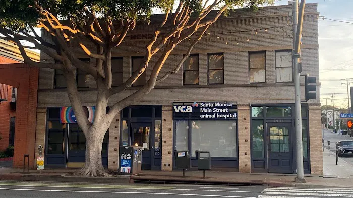 VCA Santa Monica Main Street Animal Hospital Picture 5