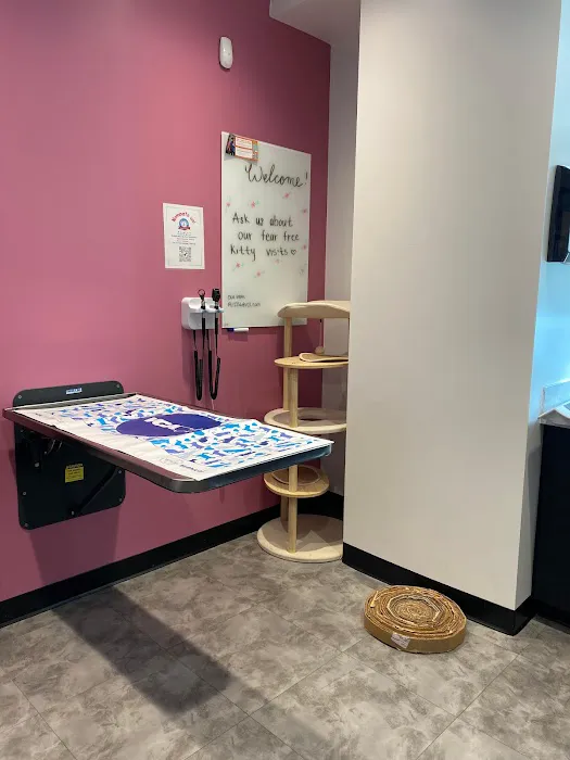 VCA Santa Monica Main Street Animal Hospital Picture 4