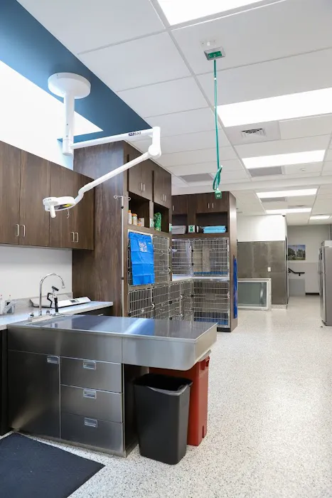 VCA Santa Monica Main Street Animal Hospital Picture 6