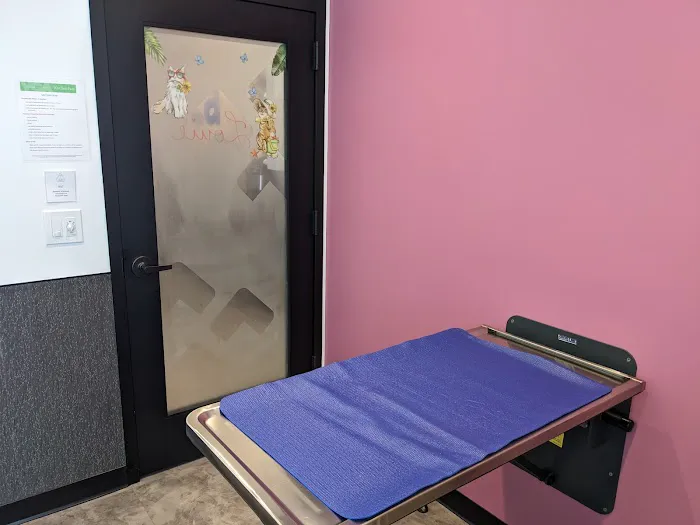 VCA Santa Monica Main Street Animal Hospital Picture 3
