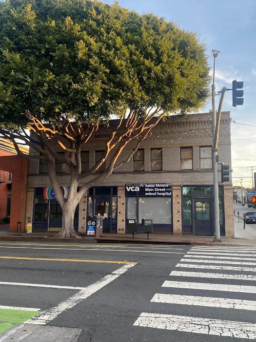 VCA Santa Monica Main Street Animal Hospital Picture 9