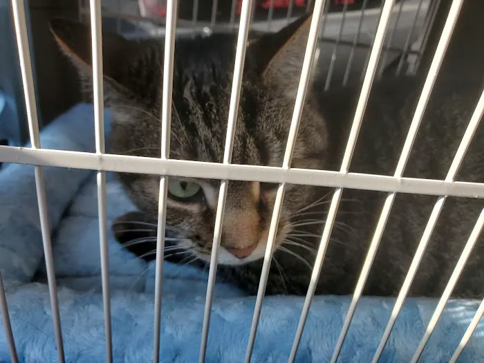 Pacific Animal Clinic Picture 3