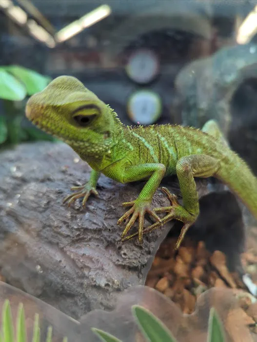 Petco Picture 2