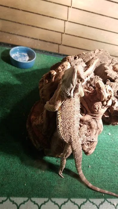 Petco Picture 5
