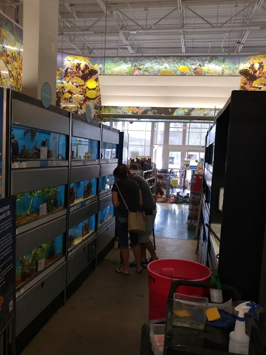 Petco Picture 6