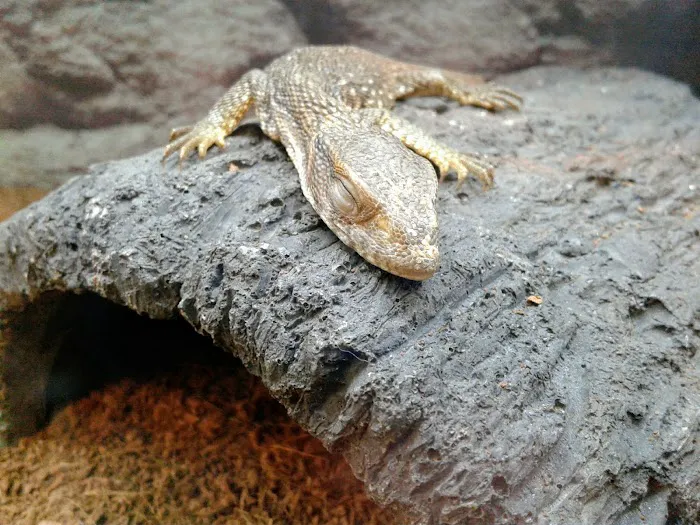 Petco Picture 7