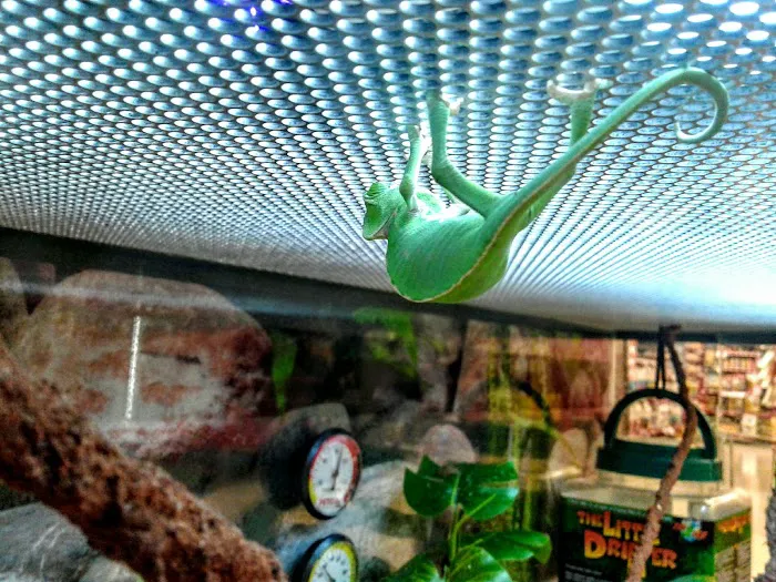 Petco Picture 9