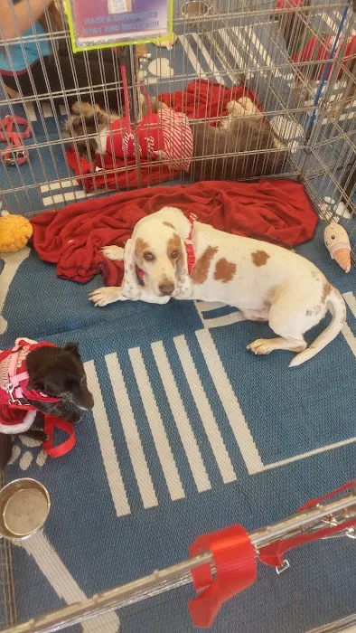 Petco Picture 8