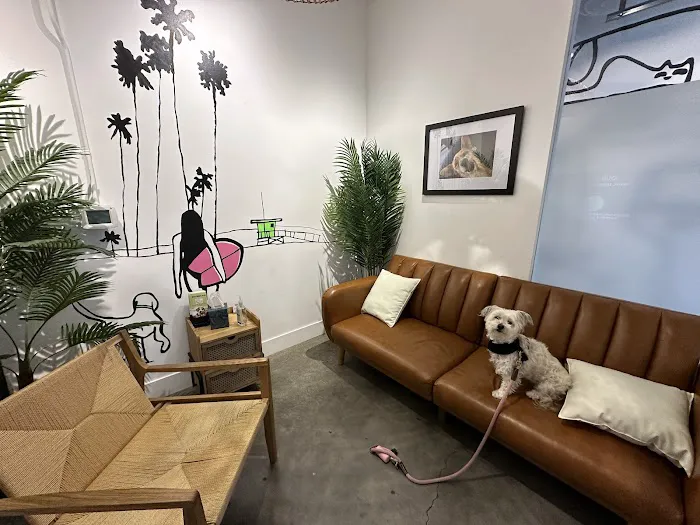 Green Dog Dental and Veterinary Center Picture 5