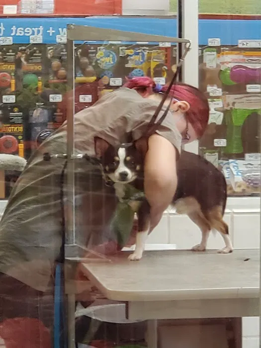 Petco Picture 10
