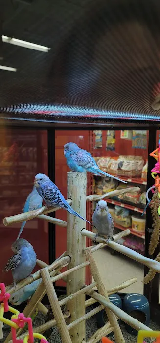 Petco Picture 4