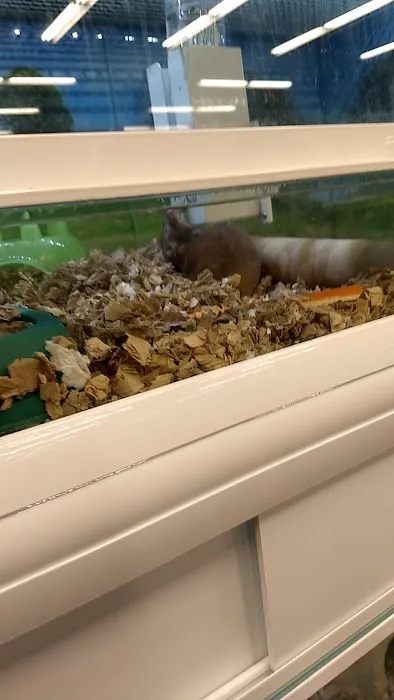 Market Street PET DEPOT Picture 1