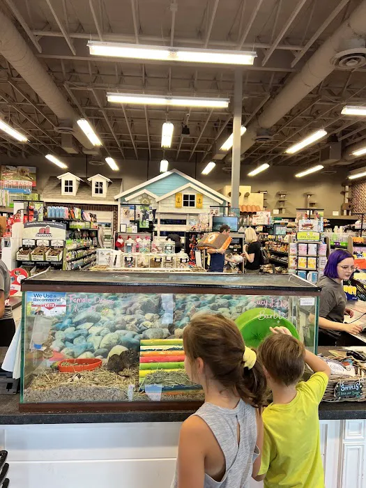 Market Street PET DEPOT Picture 7