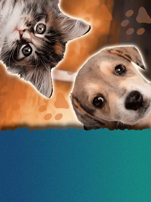 Value Vet Inc. Picture 10