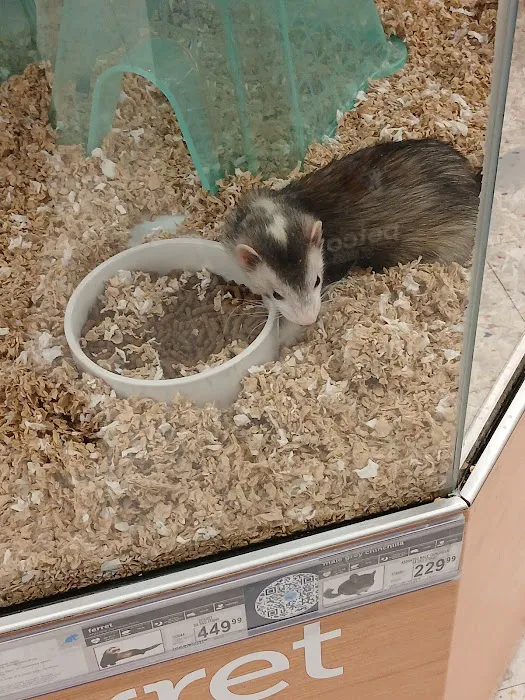 Petco Picture 3