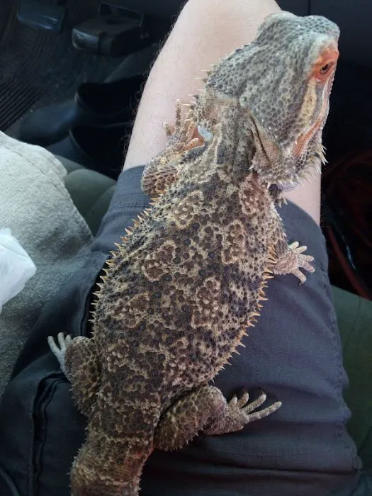 Petco Picture 6