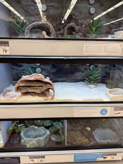 Petco Picture 4