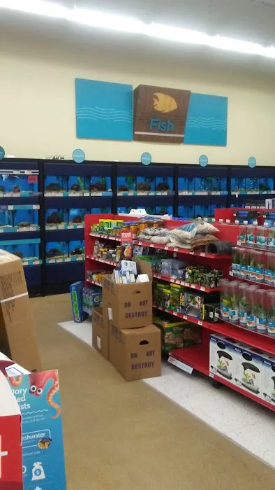 Petco Picture 5