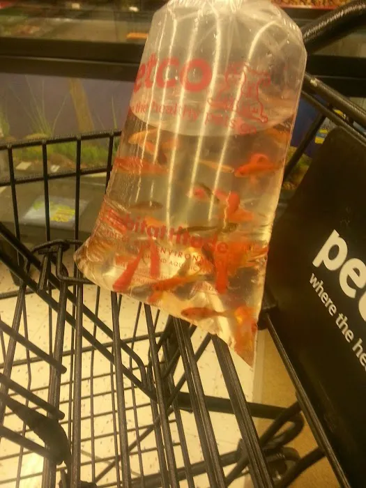 Petco Picture 9
