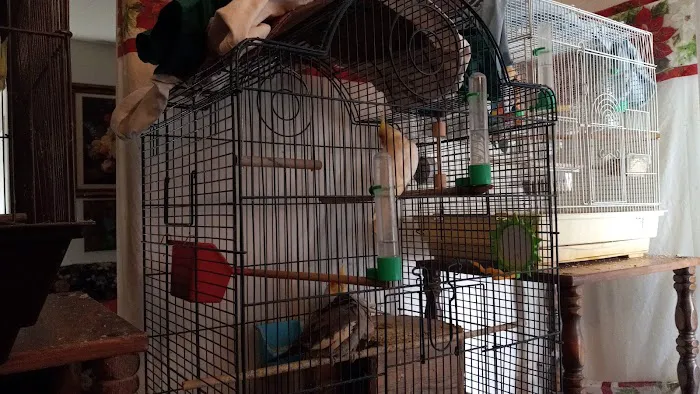 Petco Picture 10