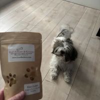 Zoe's Barkery & Kitchen ico