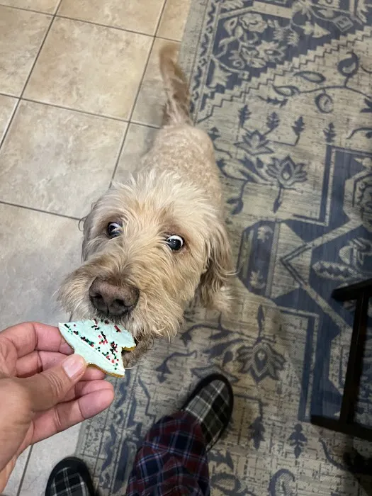 Zoe's Barkery & Kitchen Picture 5