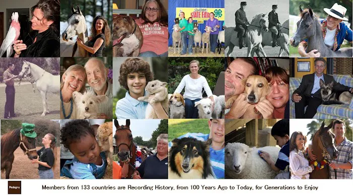 Pedegru - Animal History & Products Picture 8