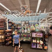 Dog Balls ico