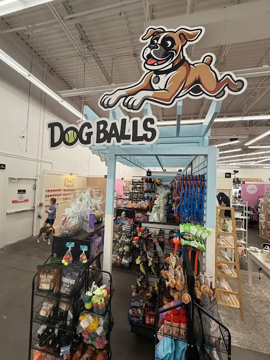 Dog Balls Picture 3