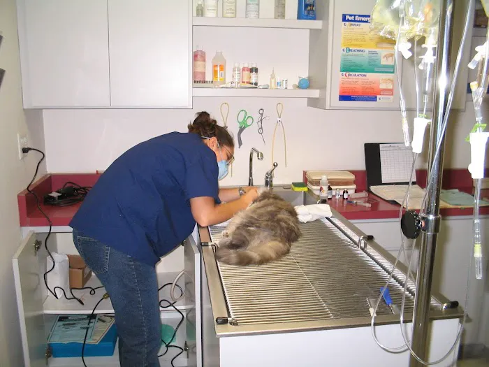 Cat's Meow Veterinary Clinic Picture 6