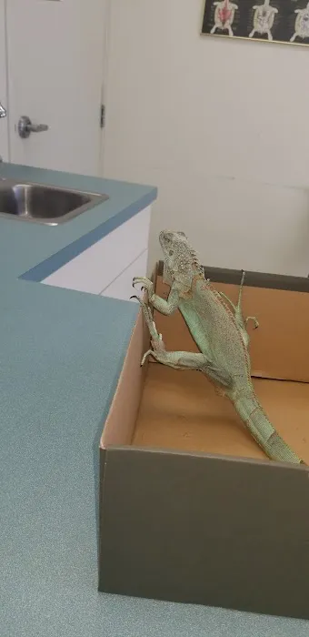 Capri Plaza Pet Clinic Picture 7
