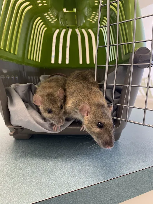 Capri Plaza Pet Clinic Picture 6