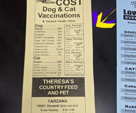 Veterinary Mobile Services