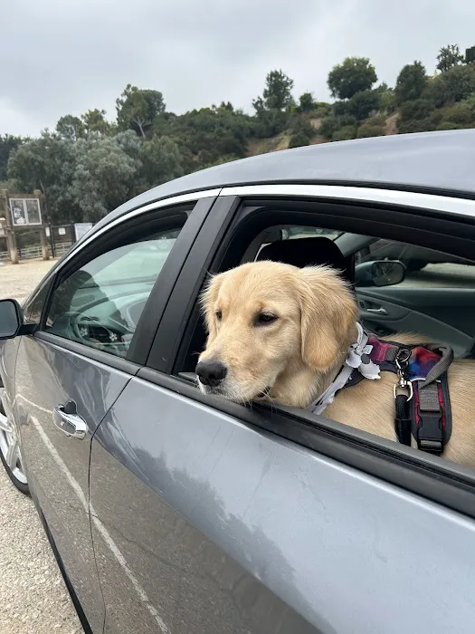 Low Cost Pet Vaccines of Los Angeles - One Generation Parking Lot Picture 2