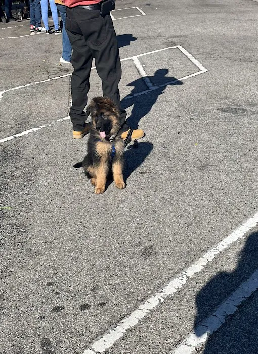 Low Cost Pet Vaccines of Los Angeles - One Generation Parking Lot Picture 1