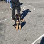 Low Cost Pet Vaccines of Los Angeles - One Generation Parking Lot
