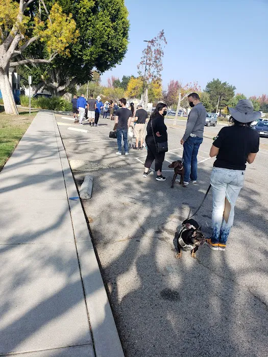 Low Cost Pet Vaccines of Los Angeles - One Generation Parking Lot Picture 6