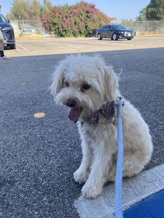 Low Cost Pet Vaccines of Los Angeles - One Generation Parking Lot Picture 7