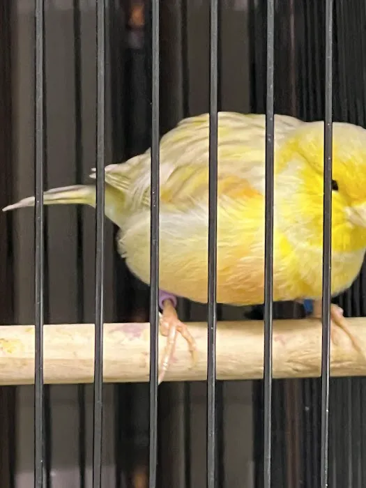 Exotic Bird Aviary Picture 5