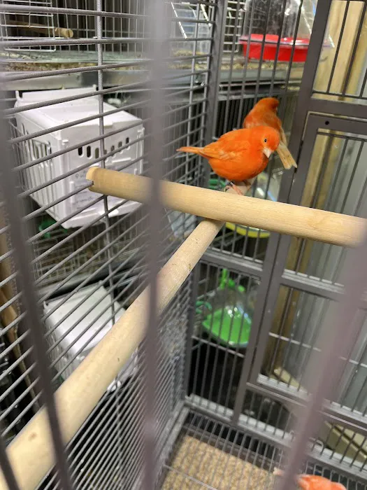 Exotic Bird Aviary Picture 4