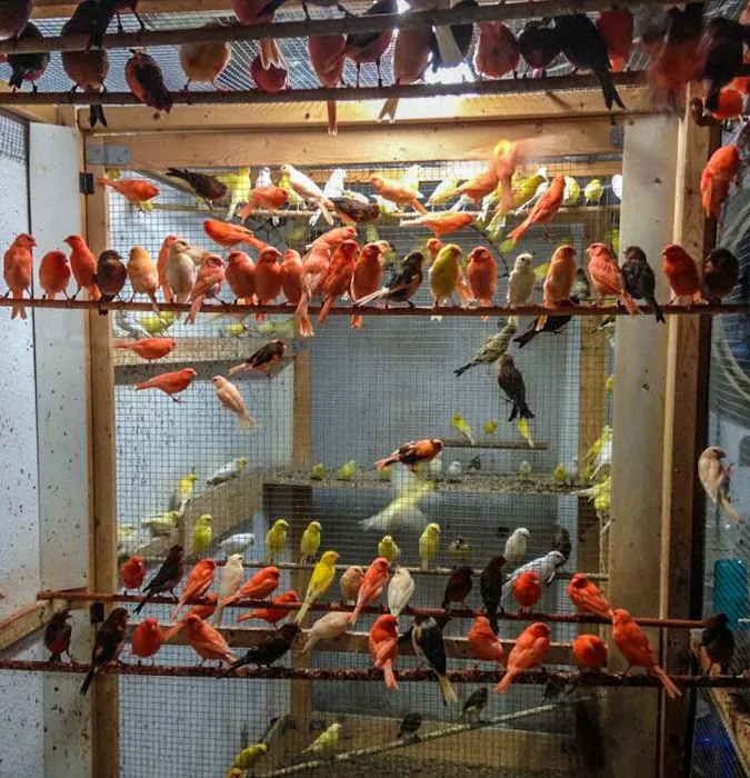 Exotic Bird Aviary Picture 9