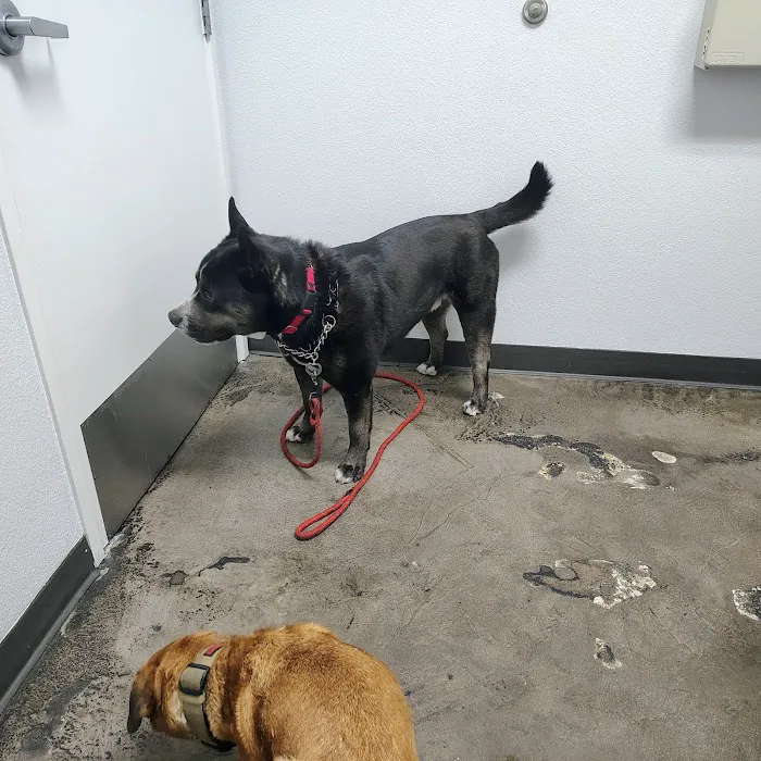 Mid Valley Veterinary Hospital Picture 1