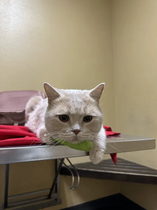 Mid Valley Veterinary Hospital Picture 2