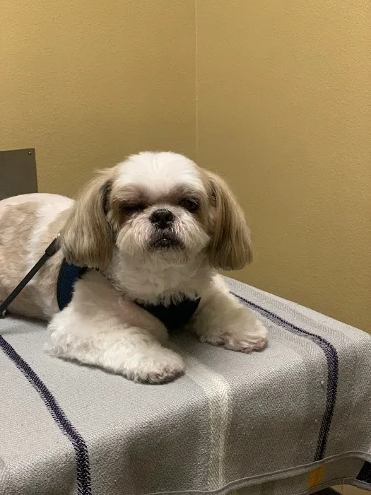 Mid Valley Veterinary Hospital Picture 5