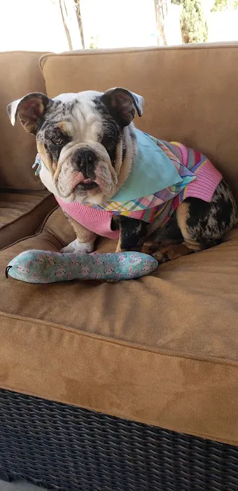 Mid Valley Veterinary Hospital Picture 8