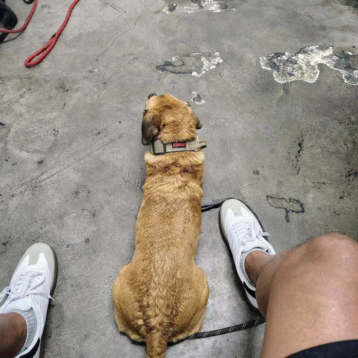 Mid Valley Veterinary Hospital Picture 10