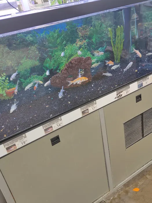 Petco Picture 3