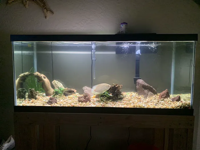 Petco Picture 1